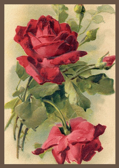 Felicitari vintage cu trandafiri